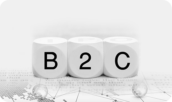 B2C云仓 B2C云仓