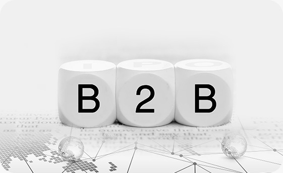 B2B仓储 B2B仓储